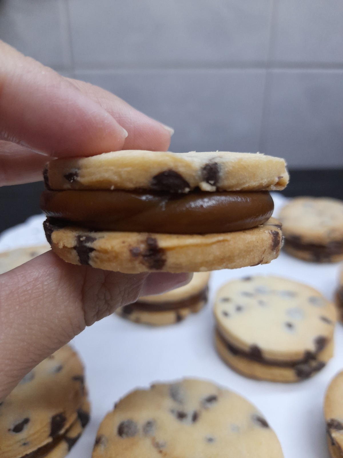 Alfacookies